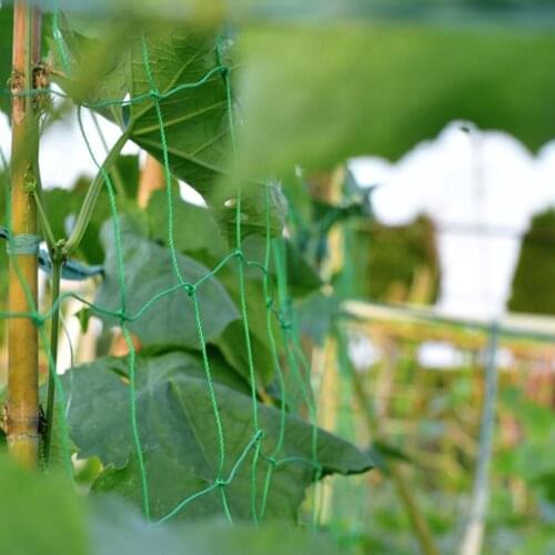 Plant Net Gardening Plant Climbing Net Climbing Net High Quality Planting Vegetable Plants Plastic