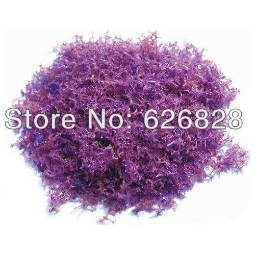 Tree powder tree foliage sponge with tree foliage Center hole sponge H622