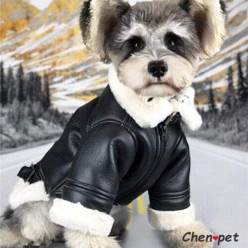 Cool Pet Clothes Fashion Warm Leather Doy Clothes Soft Fabric Puppy Winter Jacket Small Dog Coat Handsome Dog Leather Clothing