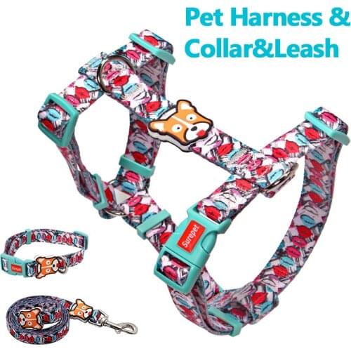 Fashion Printing Dog Collar I-Shape Pet Dogs Harness Adjustable Outdoor Walking Durable Cat Harness and Leash Collar Pet Suppy