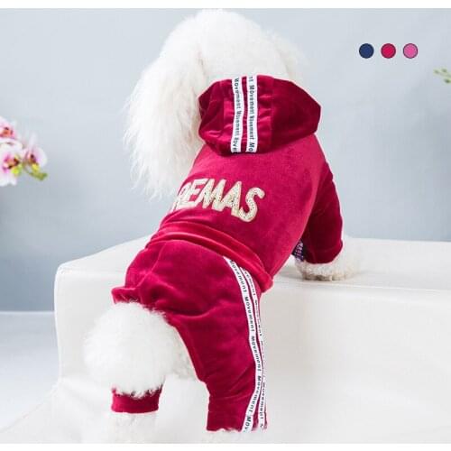 Four Seasons Pet Hooded Fashion Letter Gold Velvet Teddy Dog Clothes Cartoon Pet Hooded Sweatshirt Dog Jacket One Piece Clothes