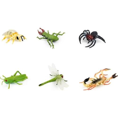 2020 New Insect Series Animal Toys Early Education Learning Childrens Cognitive Toy Model Factory Wholesale