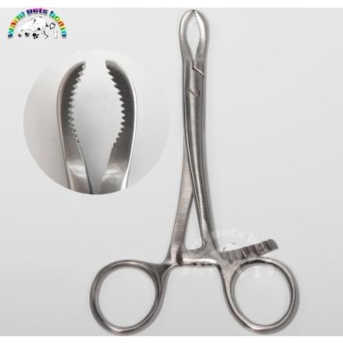 Small Bone Holding Forceps with Long Ratchet Bone Reduction Forceps Orthopedic Surgical Instrument Veterinary Tools