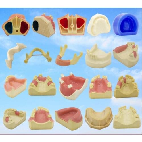 Maxillary sinus dentistry consumables instruments soft gums Dental implant practice Oral model