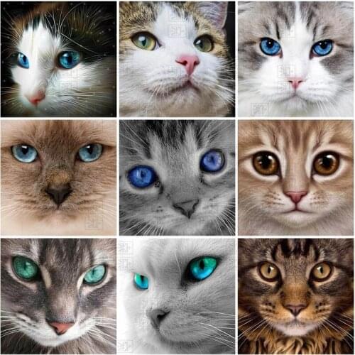 Diamond Mosaic Animal 5D Diy Full Square Diamond Embroidery Cute Cat Cross Stitch Mosaic Art Picture Rhinestones Home Decor Gift