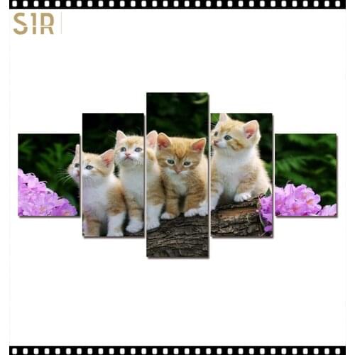 HD 5 Pieces Pet Cat Animal Pictures Posters Wall Art Home Decor for Living Room Painting on The Wall Cat Pet Pictures Wall Art
