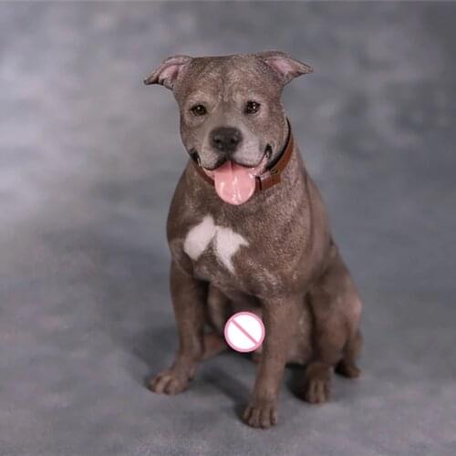 1/6 Scale Simulated Animal Model American Staffordshire Terrier For 12' Action Figure Body Scene Accessorie