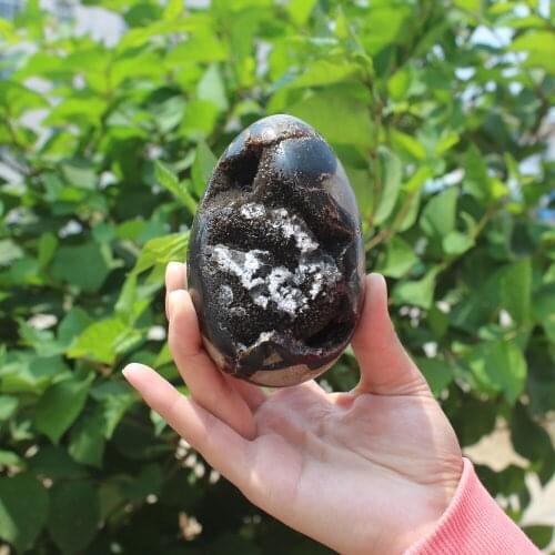 590g Natural curvature of the furnishing articles Turtle grain stone egg Ball Septarian nodule Fossil Crystal Healing quartz 52