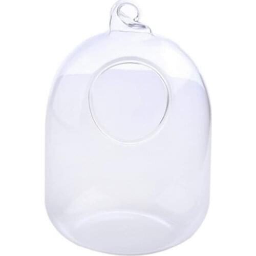 2021 New Suspended Transparent Hanging Glass Fish Tank Infusion Bottle Aquarium Flower Pl