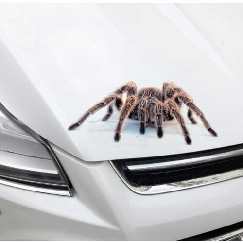 3D Spider Car Stickers And Decal Animals Vivid Scorpion Lizard Funny Stickers On Auto Stripe DIY Car Styling Sticker Accessories