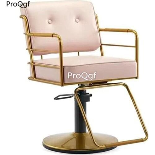 Prodgf 1Pcs A Set Romantic ins Fashion Salon Chair