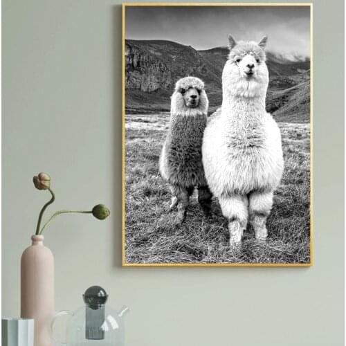 Black and White Animal Alpaca Poster Canvas Art Painting Prints Wall Art Nursery Picture Llama Kids Room Decor Unframed