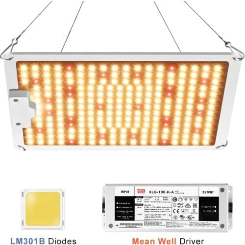 CANTH Professional Lighting