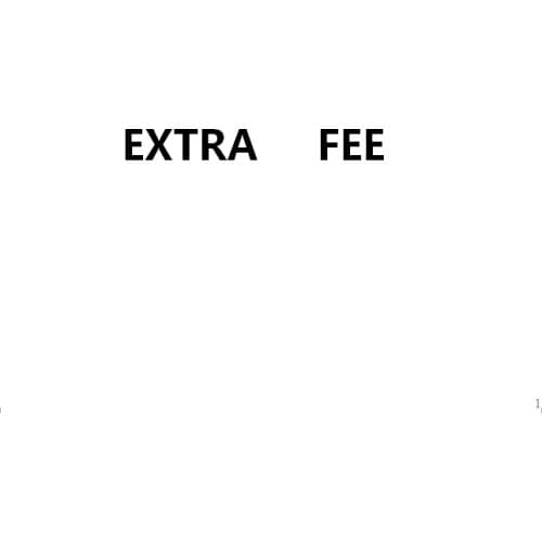 EXTRA FEE