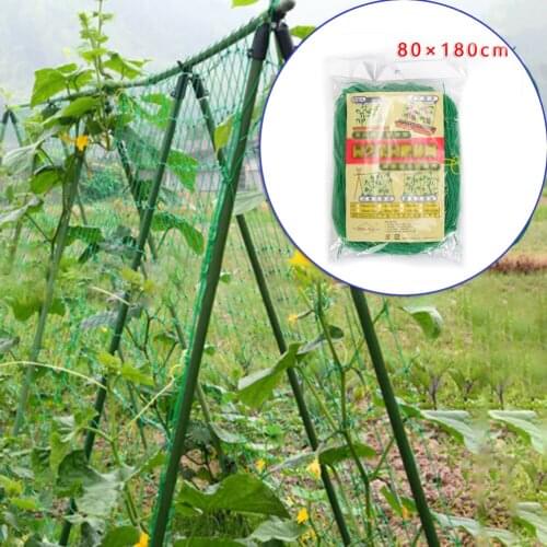 Garden Nylon Trellis Netting Support Climbing Bean Plant Net Grow Fence Decor Plant Nets Grow Fence Climbing Net Thickened Line