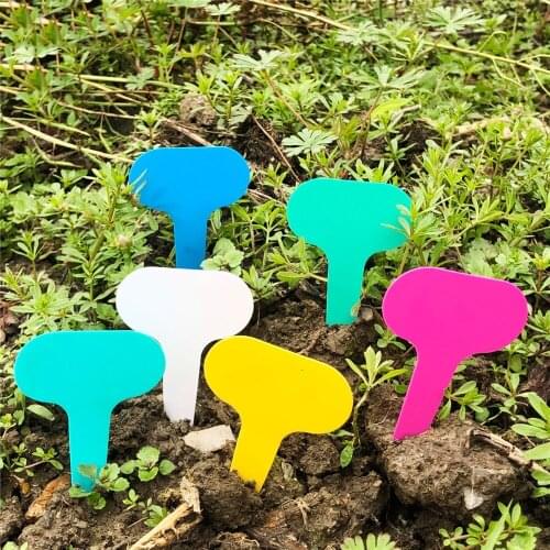 100pcs Garden T-shape Plant Labels Flower Plant Sign Tags For Succulent Cactus Aloe ,etc.diy Markers Ornament Tools