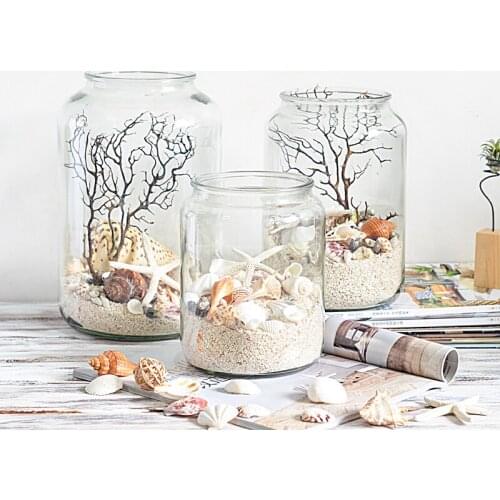 Nordic jewelry creative home Mediterranean style decoration indoor conch shell glass bottle crafts