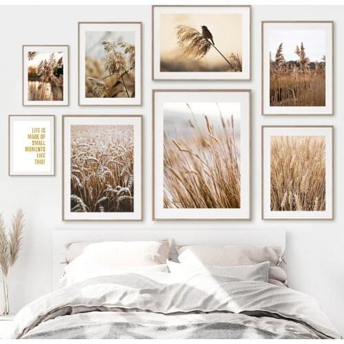 Scandinavian Nature Landscape Poster Nordic Dried Flower Wheat Reed Field Plant Print Canvas Wall Painting Photography Picture