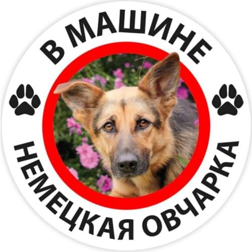 B0288# 10/13/15 cm German Shepherd in the Car Self-adhesive Decal Car Sticker Waterproof Auto Decors on Bumper Rear Window