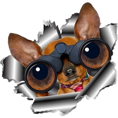 S50097# 13/15/17CM Personality PVC Decal 3D Torn Metal Dachshund Car Sticker on Motorcycle Laptop Decorative Accessories