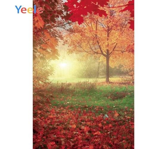 Yeele Landscape Maple Tree Fallen Leaves Sunshine Photography Backdrop Photographic Studio Photo Background Decorations Prop