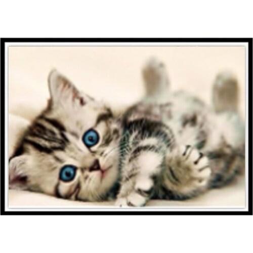 5D diamond painting small cat animal diamond inlaid embroidery DIY round stick cross stitch home decorations new year gift