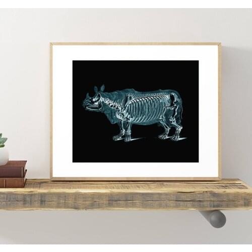 Rhinoceros Xray Illustration Art Canvas Print Veterinarian Gift Anatomy Poster Medical Abstract Painting Office Wall Art Decor