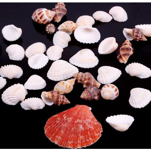 New Beautiful Approx 100g Beach Mixed SeaShells Mix Sea Shells Shell Craft SeaShells Aquarium #67179