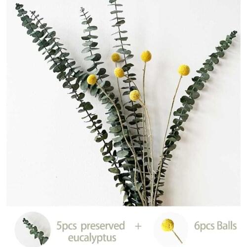 Natural Eucalyptus Leaves Branches Stems Rabbit Tail Grass Dried Flower Real Plant For Nordic Home Wedding Party Decor