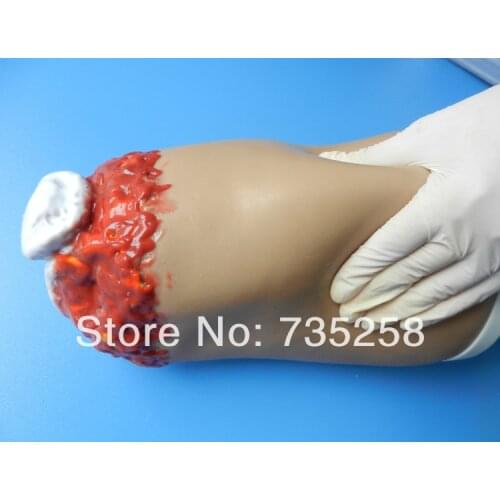 Lower extremity trauma limb hemostatic training model,Leg bleeding limb amputation practice model