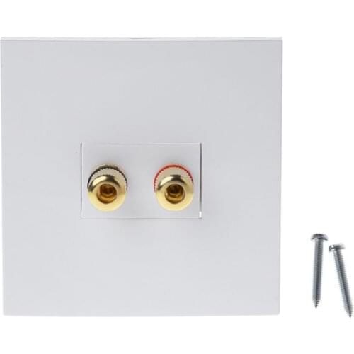 Audio Panel Terminals 2 Binding Post Left Right Channels Speaker Connector Wall Socket Banana Jack