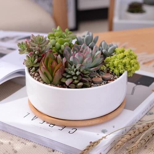 1 Set Minimalist White Ceramic Succulent Plant Pot Porcelain Deep Rounded Pot Desktop Pot Home Decor (1 Flower pot + 1 Tray)