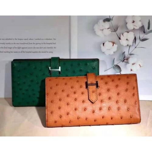 Anos Skin Green Wallets