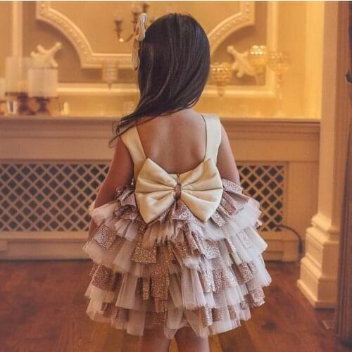 Tutu Skirt Flower Girls Dresses Backless Luxury Sleeveless Girls Birthday Dresses Girls Pink Pageant First Communication Dresses