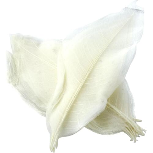 50 Pieces 5-6 inch Natural Skeleton Magnolia Leaves Craft Topper Decoration White for Making Soap DIY Supplies Embellishments