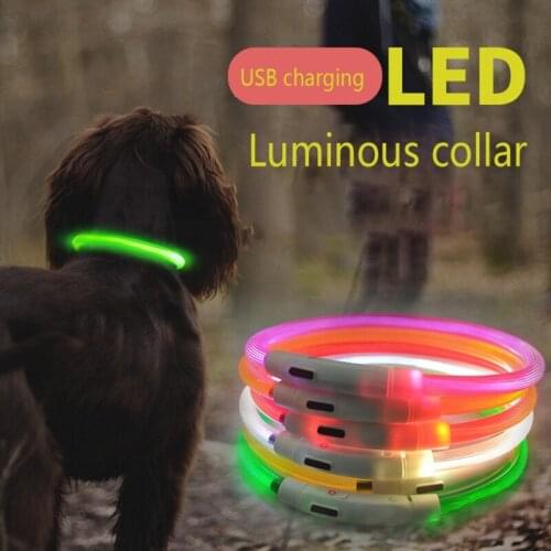 Luminous Dog Collar LED Chargeable USB Collar Perro Personalized Dog Collar Accessories For Large Small Medium Pet Supplies