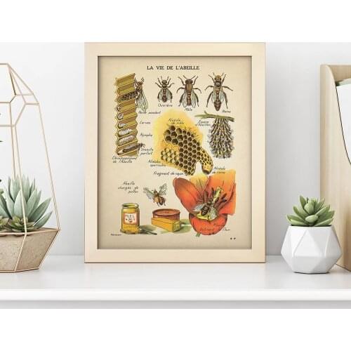 Antique Bees Prints Natural Poster Insects Vintage French Honey Bee Wall Art Canvas Painting Sepia Toned Bee Diagram Wall Decor