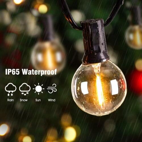 Micogreen LED Holiday Light Bulbs
