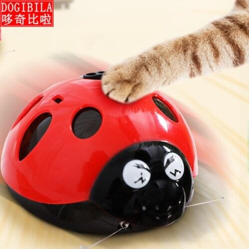 Catch Me If You Can Super Fun Cat Toy, AAA Battery-Operated Pet Toy, Watch Our Video To Know More
