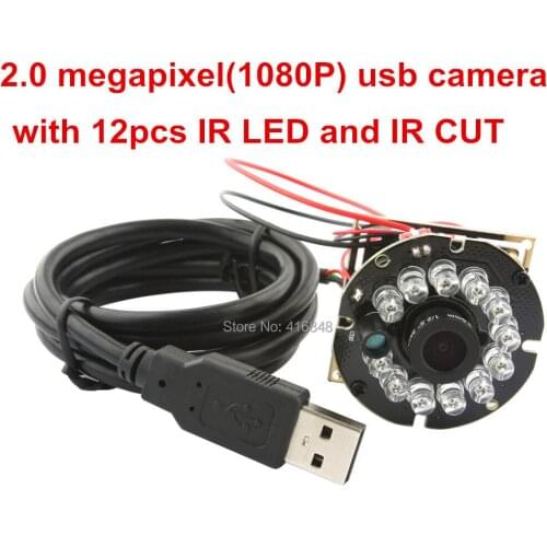 Full hd USB Camera 2.0 mega pixel 1080P IR-Cut filter USB CCTV Security Surveillance with 12pcs IR LEDS