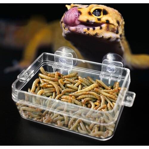 Anti-escape Food Bowl Worm Live Fodder Container for Pet Lizard Chameleon Floating Feeder Anti-escape Food Bowl Turtle Lizard