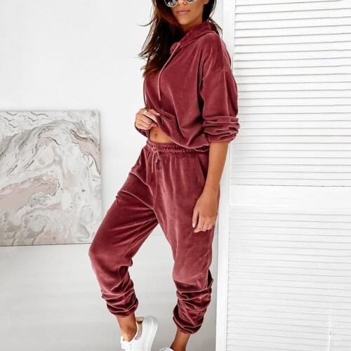 Velour Fashion Casual Long Sleeve Hooded Sweatshirt + Loose Sweatpants Autumn Two Piece Sets Women Tracksuit Velvet Pant Sets