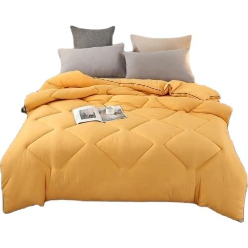 2021 New Super Soft Quilt for Winter Four Colors Duvet Nice Quilt Core