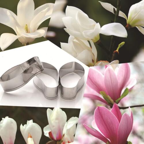 Magnolia Petals 3Pcs Stainless Stell Cookie Cutter Pastry & Biscuit Baking Cutter Cake Decorating Tools Cupcake Mold Fondant Too