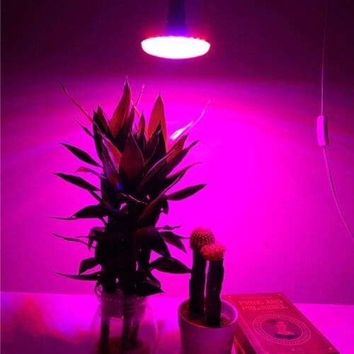 CHUANGYANG Plant Lamps