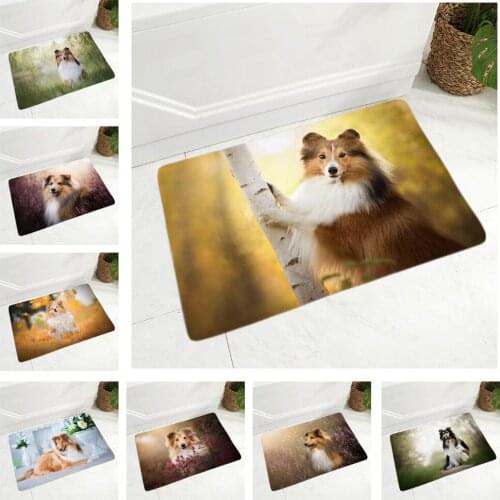 Shetland Sheepdog Floor Mat Flannel Carpet for Hallway Bedroom Dog Rug Door Mat Non-Slip Decor Pet Dog Animal Doormat 40x60cm