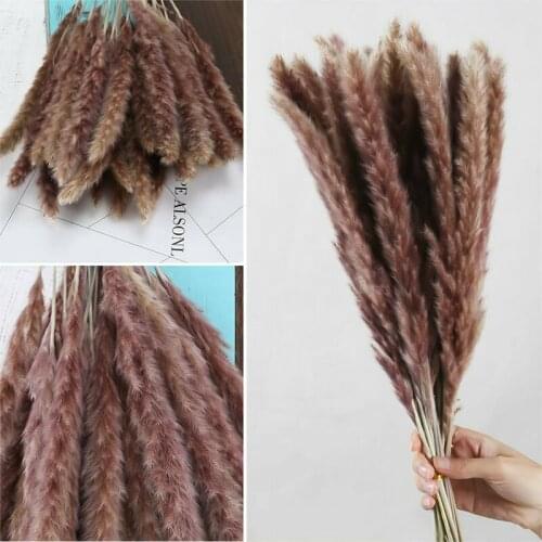 30pcs 45cm Natural Pampas Reed Grass Bouquet Bunch Desktop Decoration Dried Flowers Wedding Party Home Decor