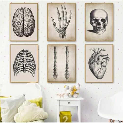 Posters And Prints Wall Pictures For Living Room Brain Finger skull Human Anatomy Poster Vintage Wall Art Canvas Painting Nordic