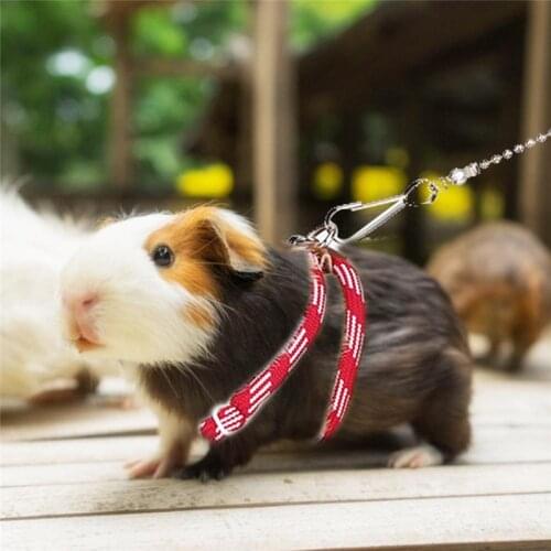 New Small Pet Adjustable Soft Harness Leash Bird Parrot Mouse Hamster Ferrets Rat Pet