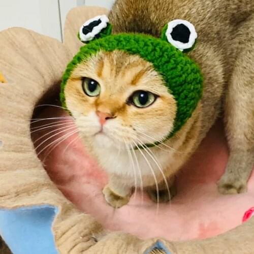 Cat Supplies Headdress Dog Ears Autumn and Winter Knitted Small Milk Cat Small Cartoon Pet Wool Cute Hat